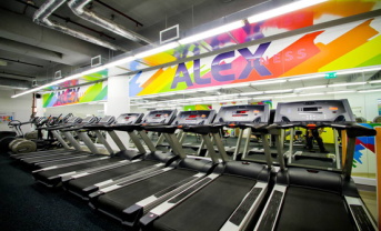Стойка Alex Fitness