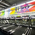 Оформление залов ALEX Fitness